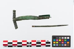 Foto von Bronzecertosafibel (NHMW-PRAE-035747)